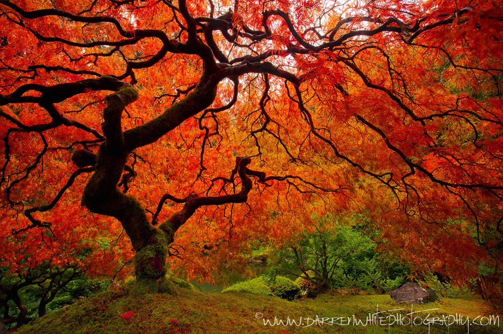 landscape photography Darren White