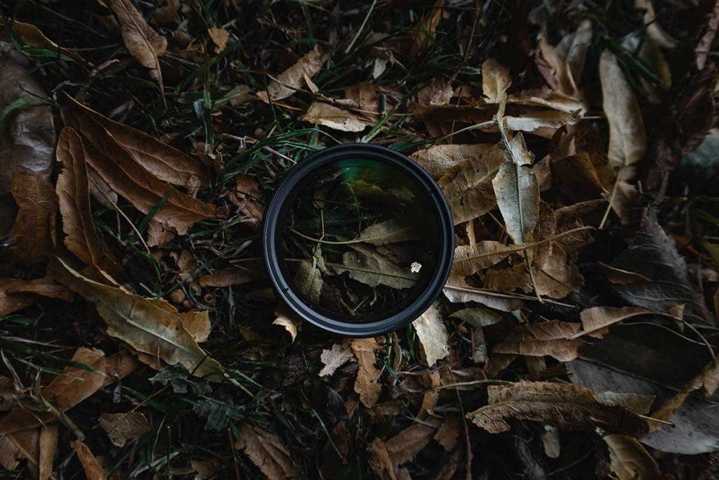 camera lens filter with leaves
