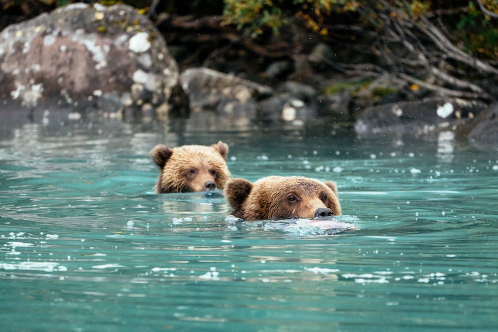 Erin Sullivan travel nature photography