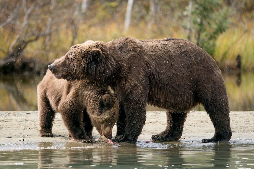 Erin Sullivan travel nature photography