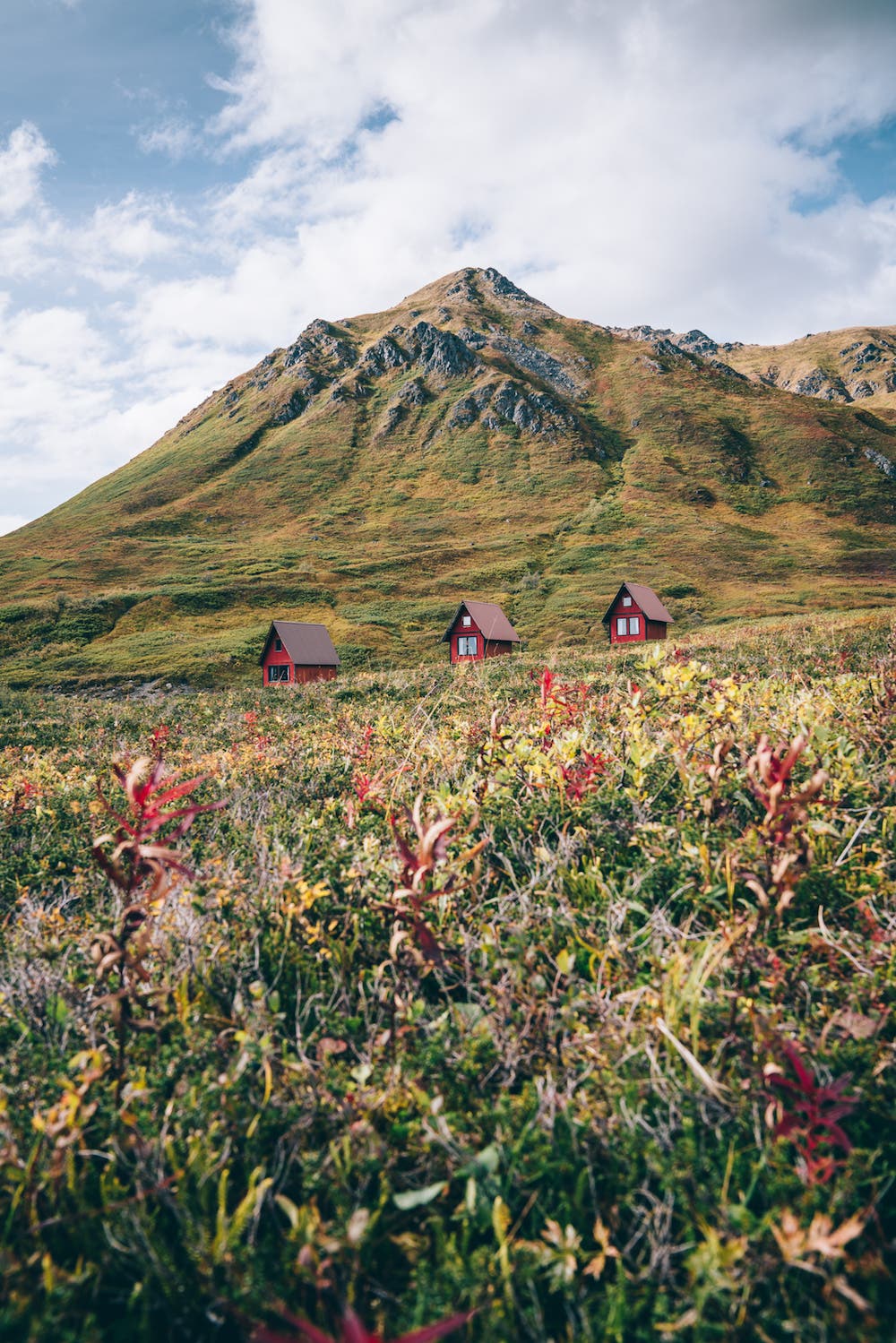 Erin Sullivan travel nature photography