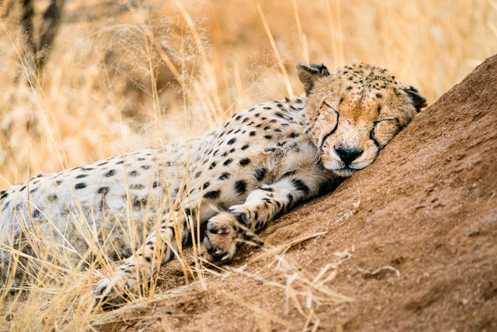 Erin Sullivan travel nature photography