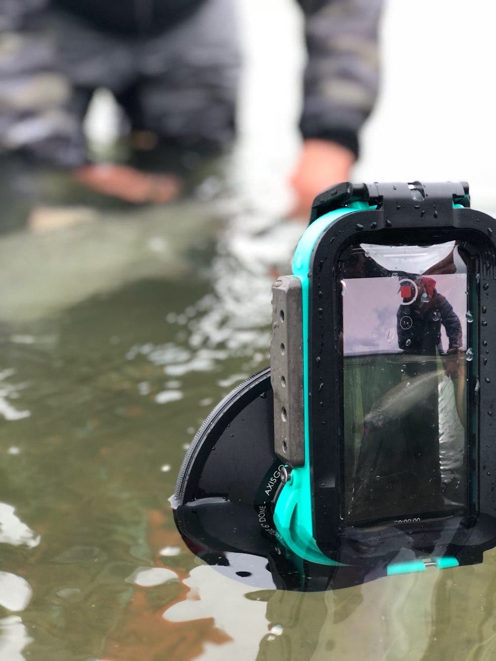 Jared Zissu underwater photography