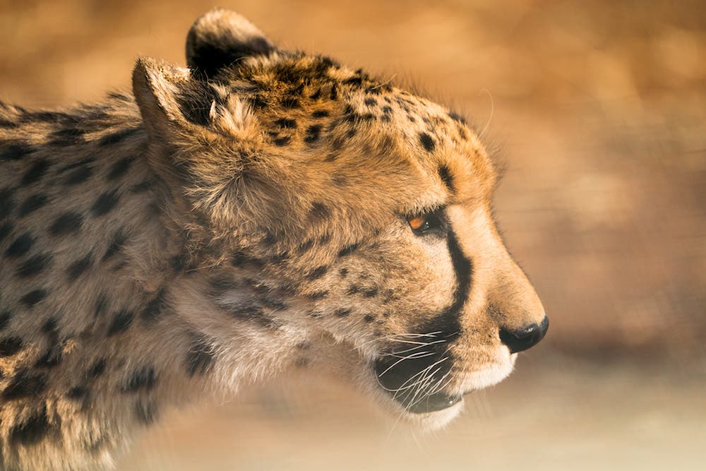 Erin Sullivan travel nature photography