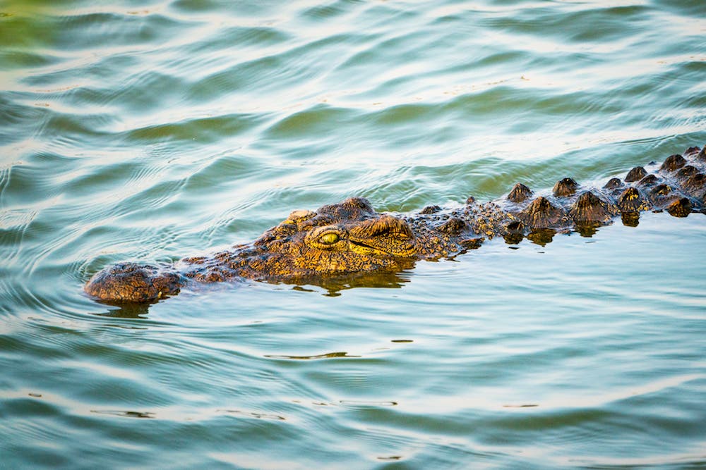 Erin Sullivan travel nature photography