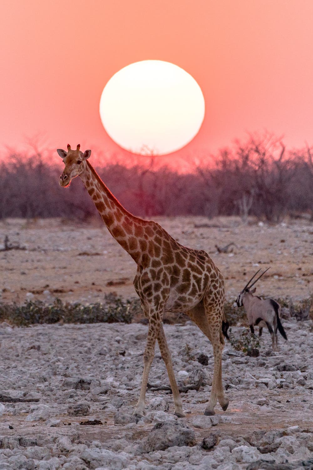 Erin Sullivan travel nature photography