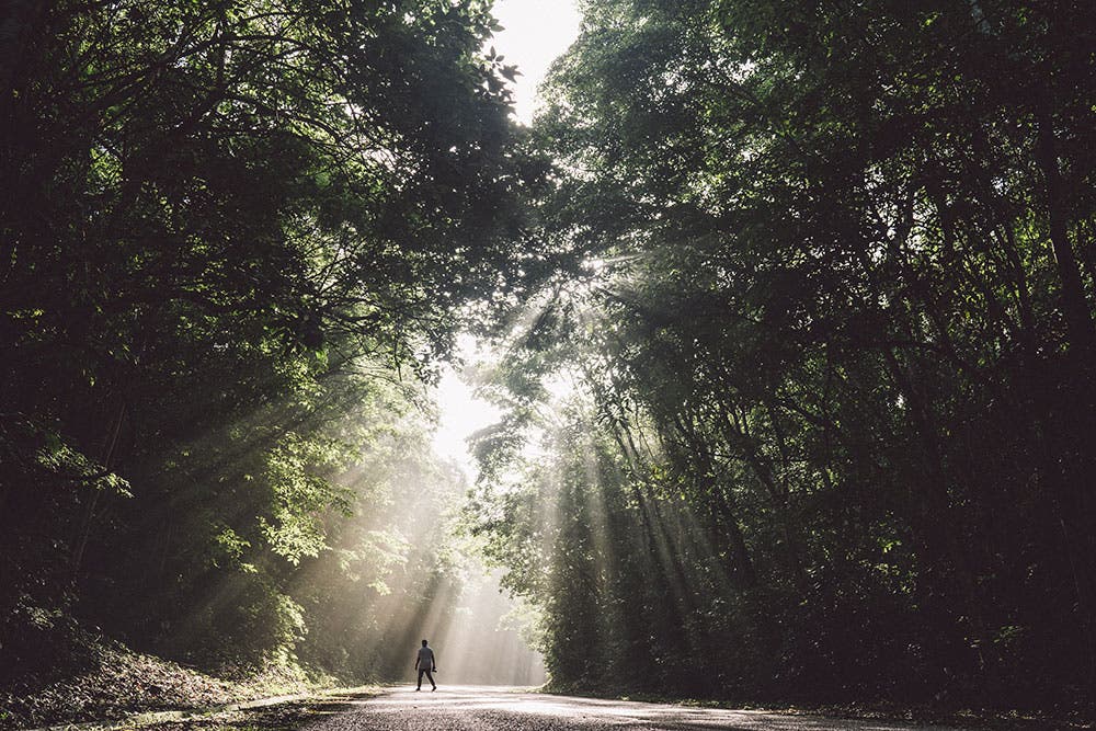 JN Silva photography