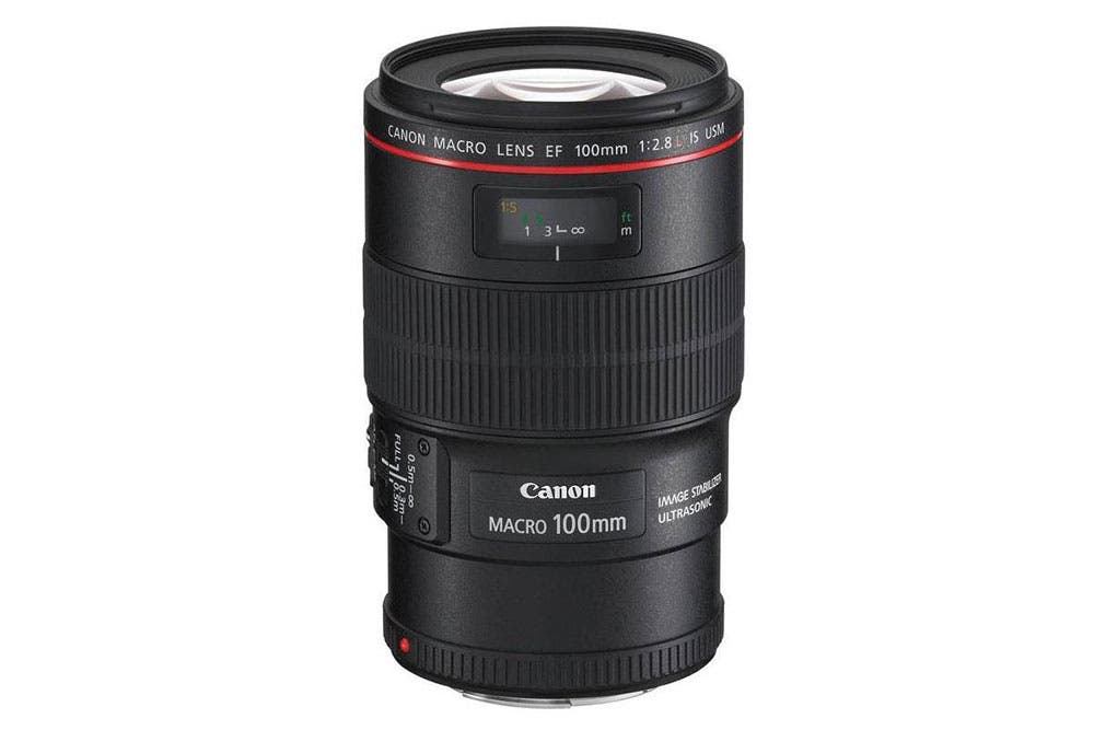 Canon EF 100mm f/2.8L IS USM Macro