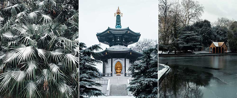 Eren Sarigul snow winter rain photography
