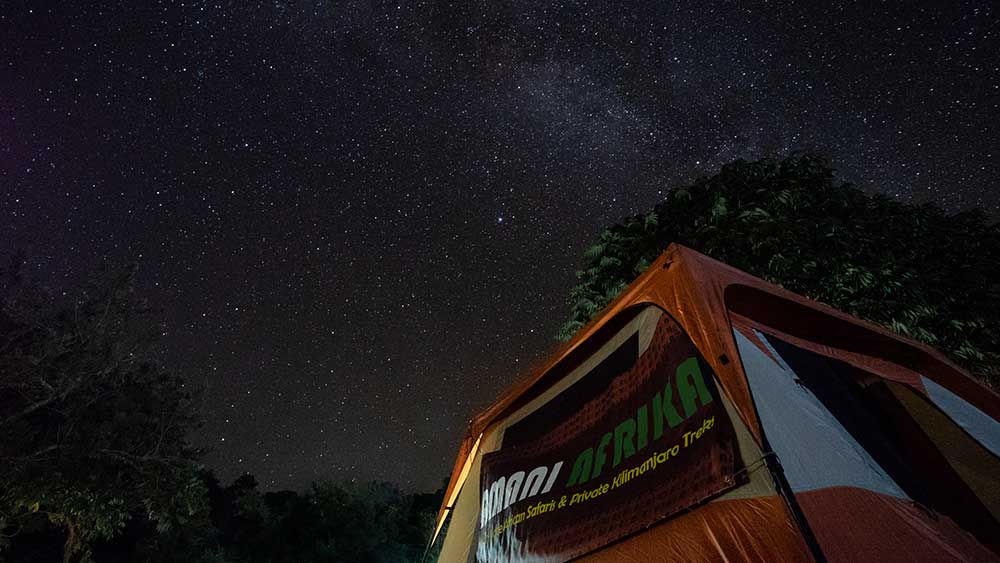 night sky photography stephanie vermillion