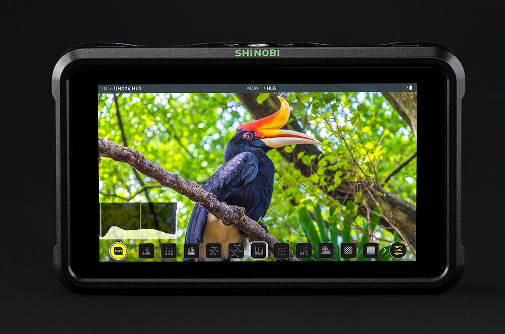 Atomos Shinobi monitor