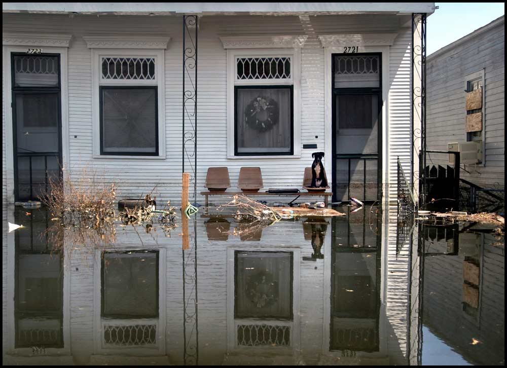 Carol Guzy/Freelance hurricane katrina