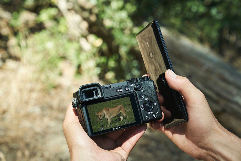Sony a6600