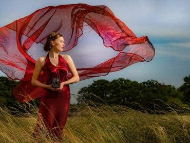 gavin hoey photography