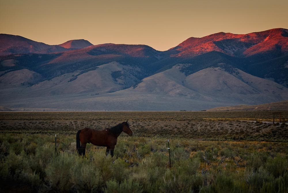idaho