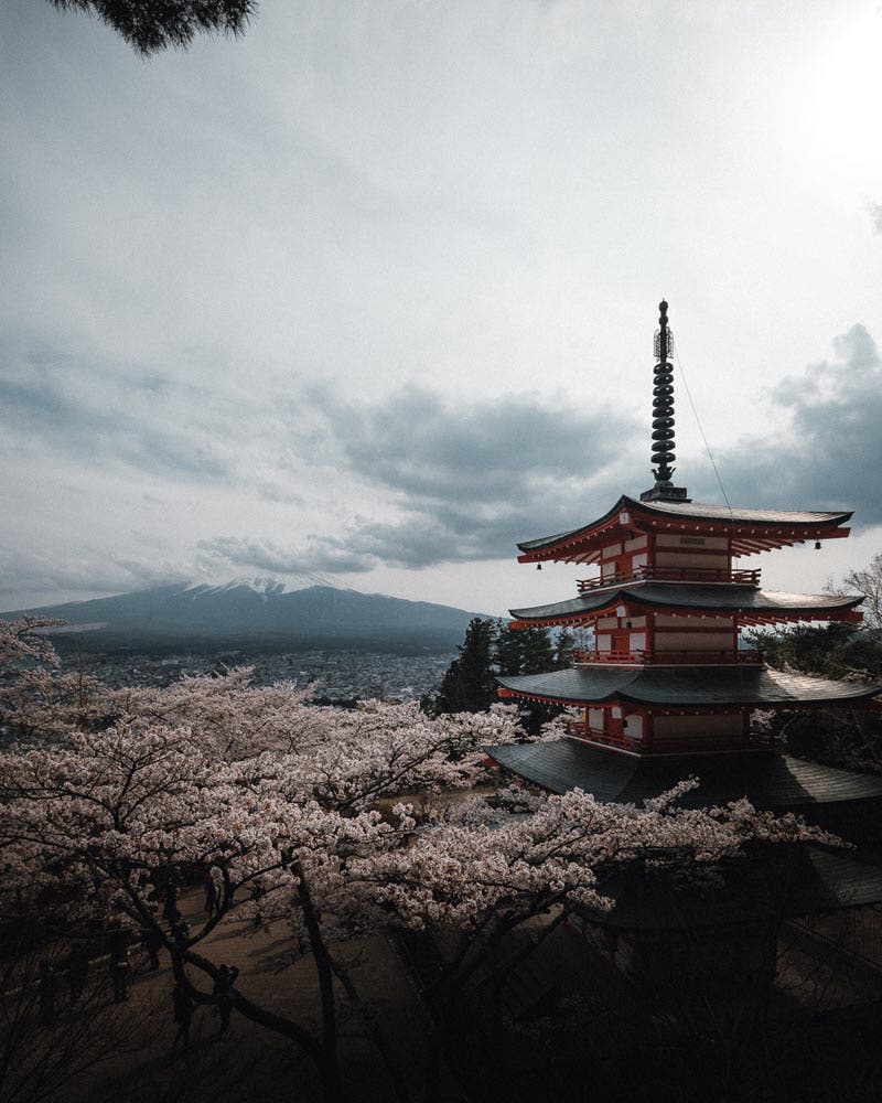 Eren Sarigul Chureito Pagoda