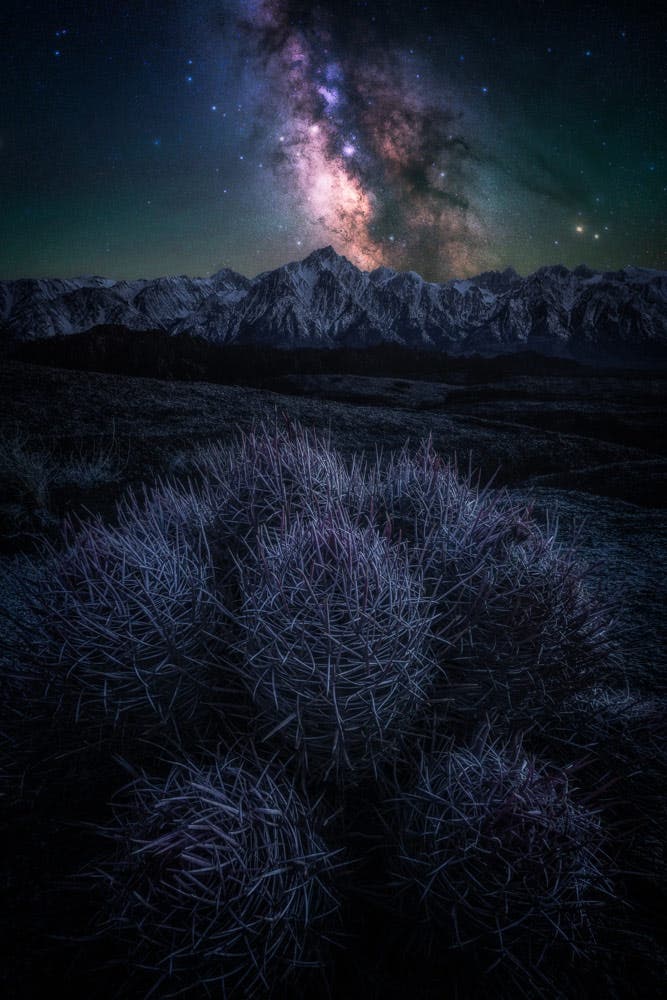star tracker photography