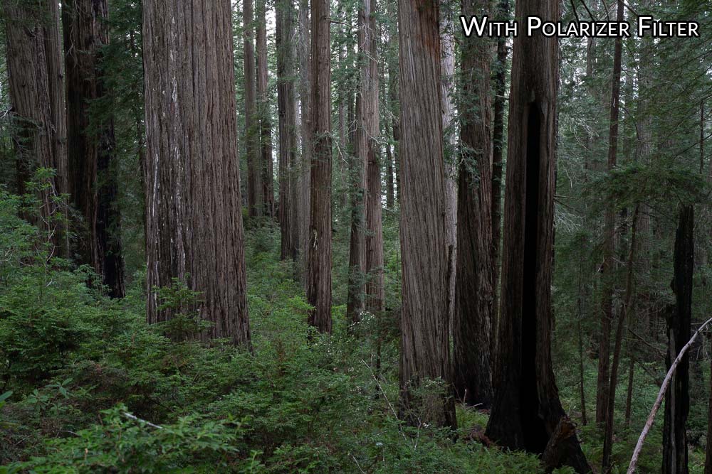 Camera Lens Filters for landscape photography Austin James Jackson