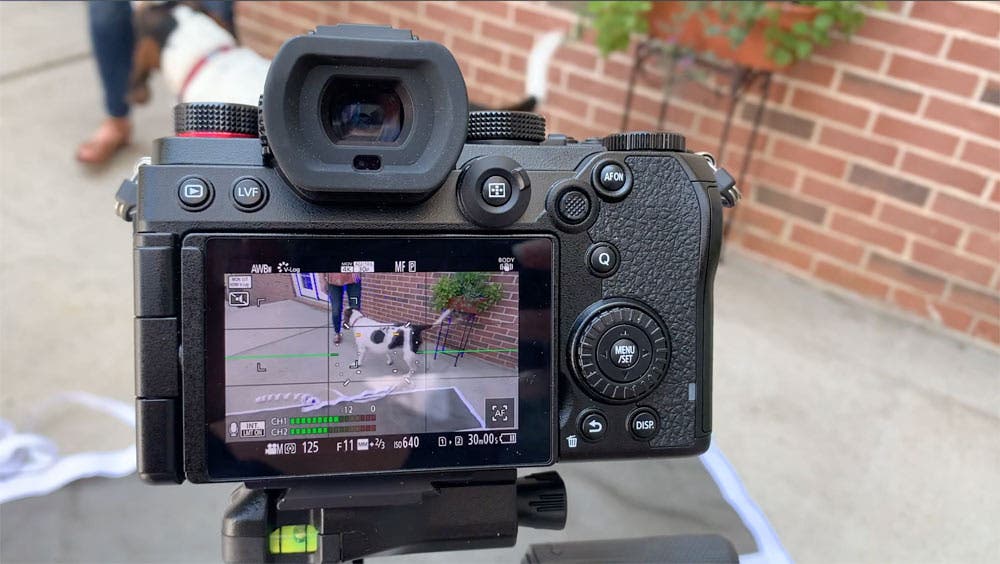 Panasonic LUMIX S5 Full Frame Mirrorless Camera