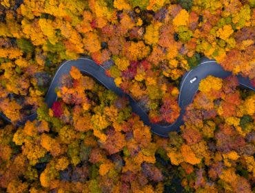fall foliage photography states travel photography