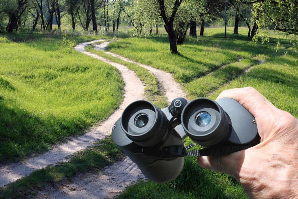 best binoculars for birding, man birdwatching with binoculars in nature forest