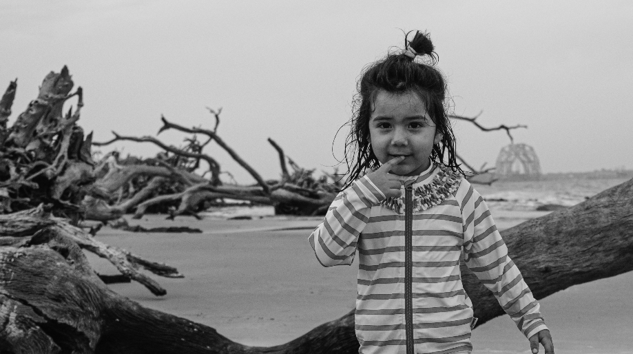 Sigma FP L samples