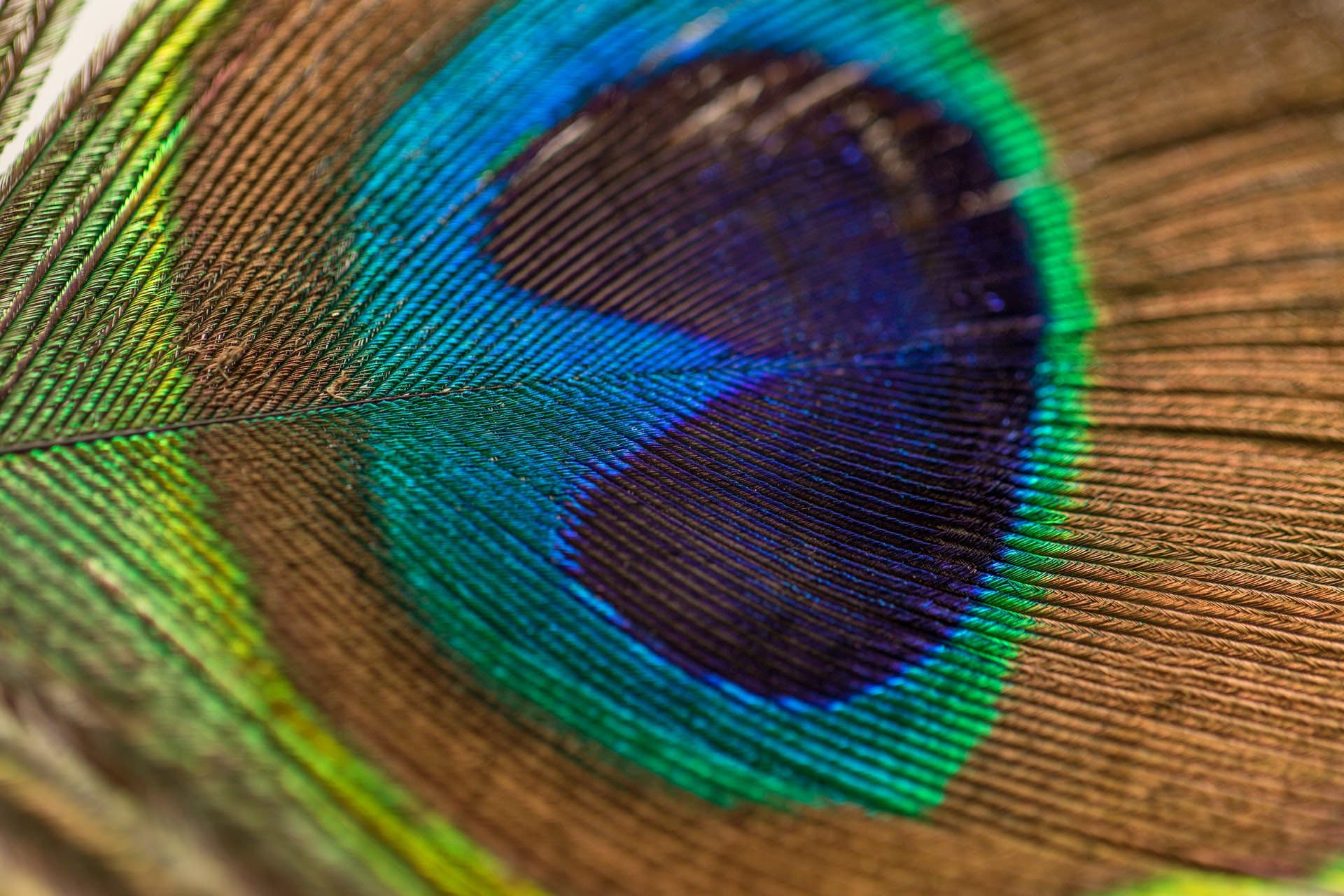 Capture texture in photography
