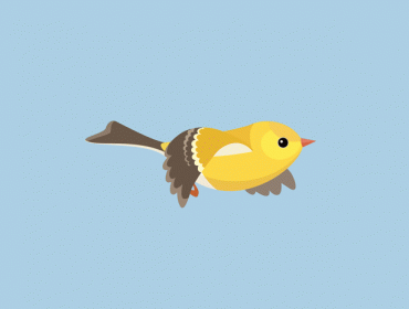 birds wings flying gifs How to Make an Animated GIF in Photoshop