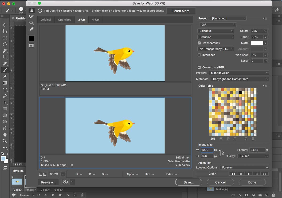 How to Make an Animated GIF in Photoshop export animation gif