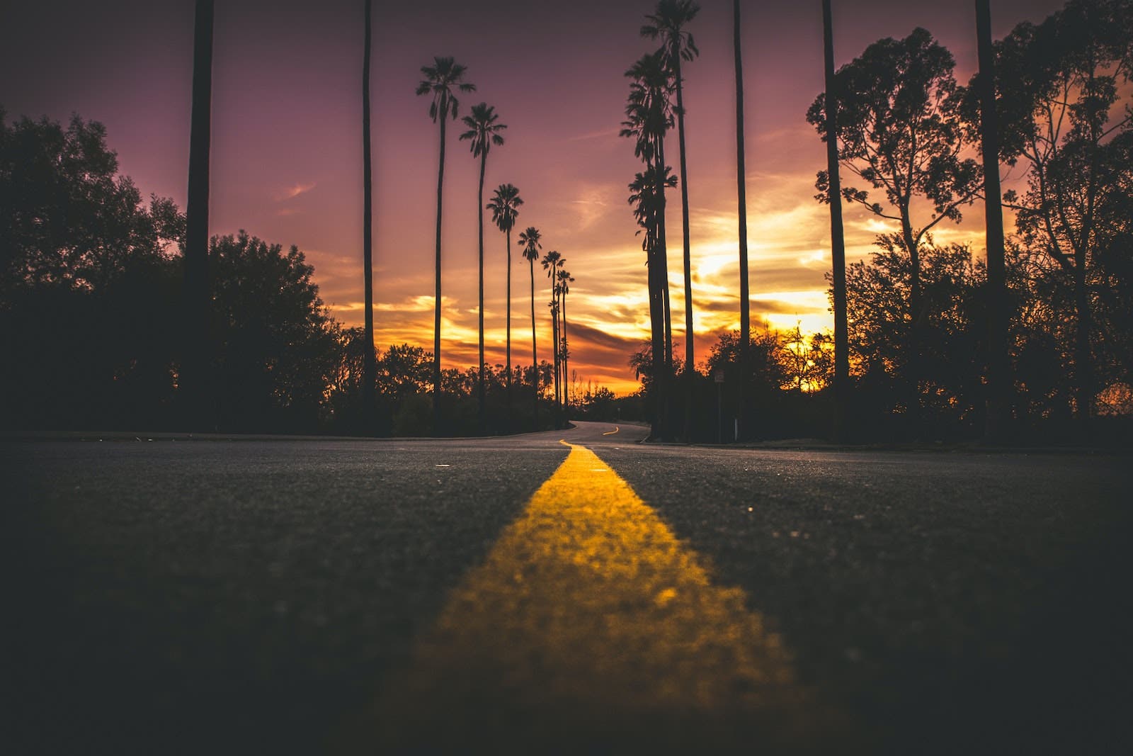 close up shot of road leading into the horizon