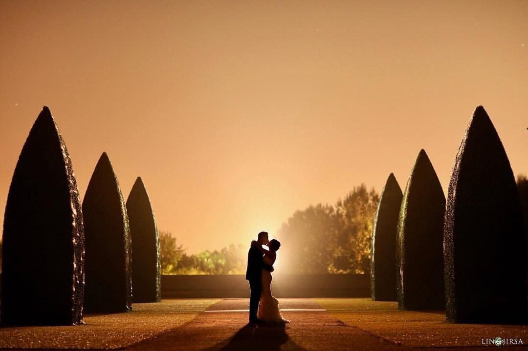 Couples portrait on the roof with trees