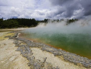 Champagne pool