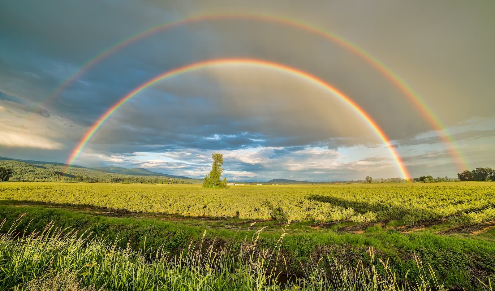 rain photography rainbow