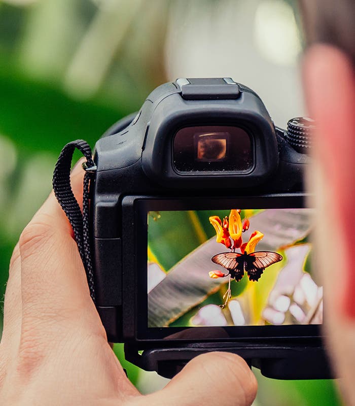 Photo Tips and Advice