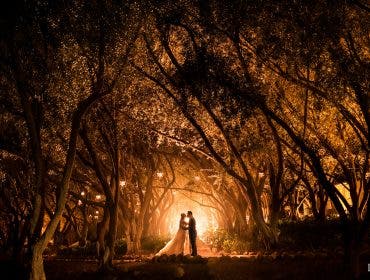 couple poses in woods