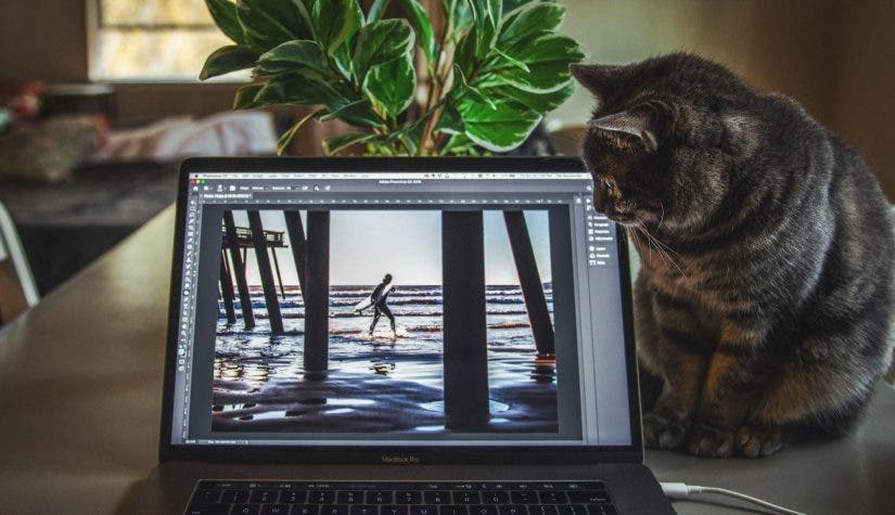 How to Create an Effective Photoshop Workflow - 42West, Adorama