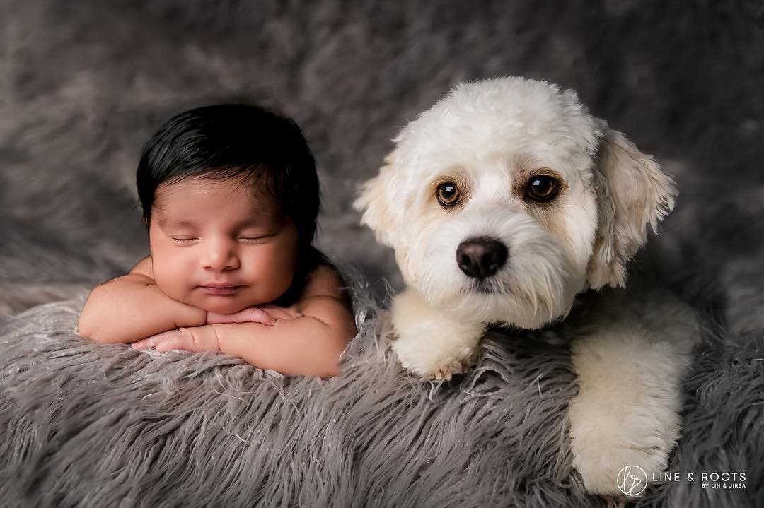 baby and dog