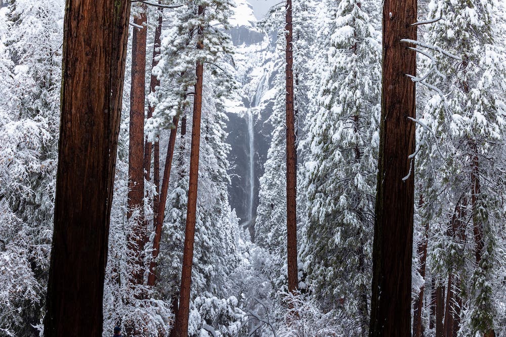 tips for beginner snow photography