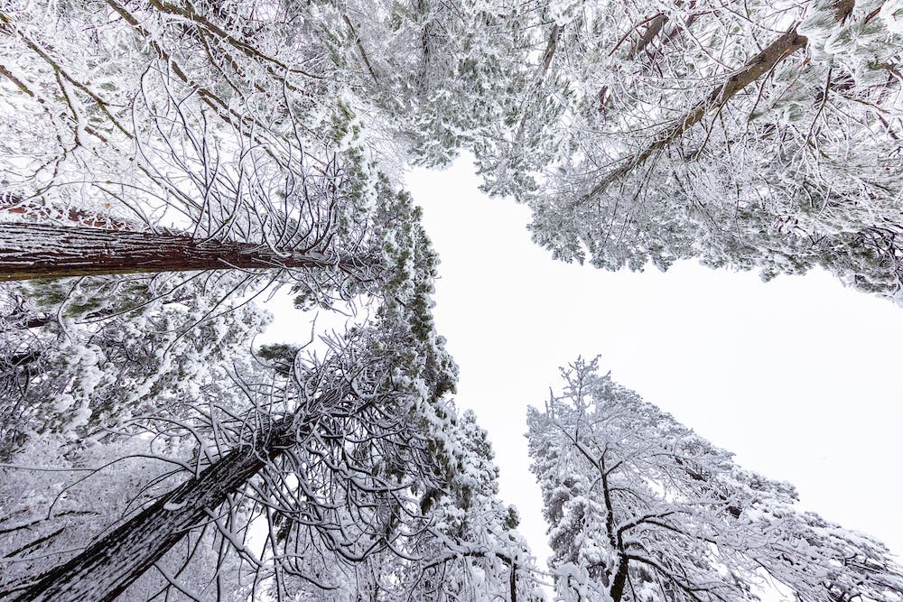 tips for beginner snow photography