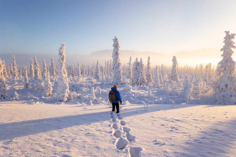 tips for beginner snow photography