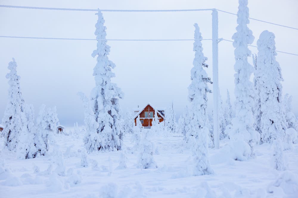 tips for beginner snow photography