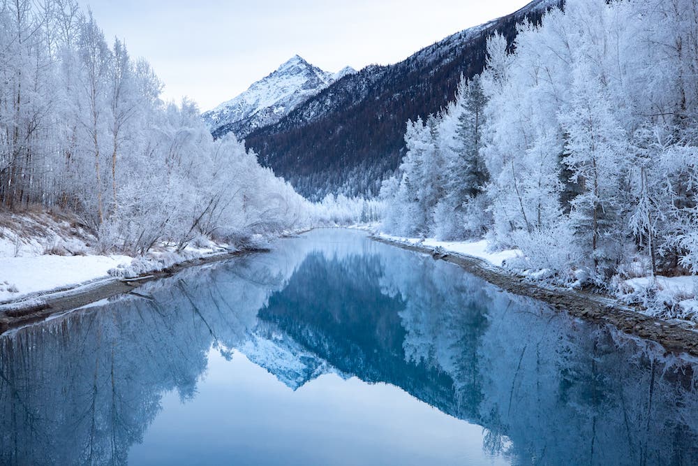 tips for beginner snow photography