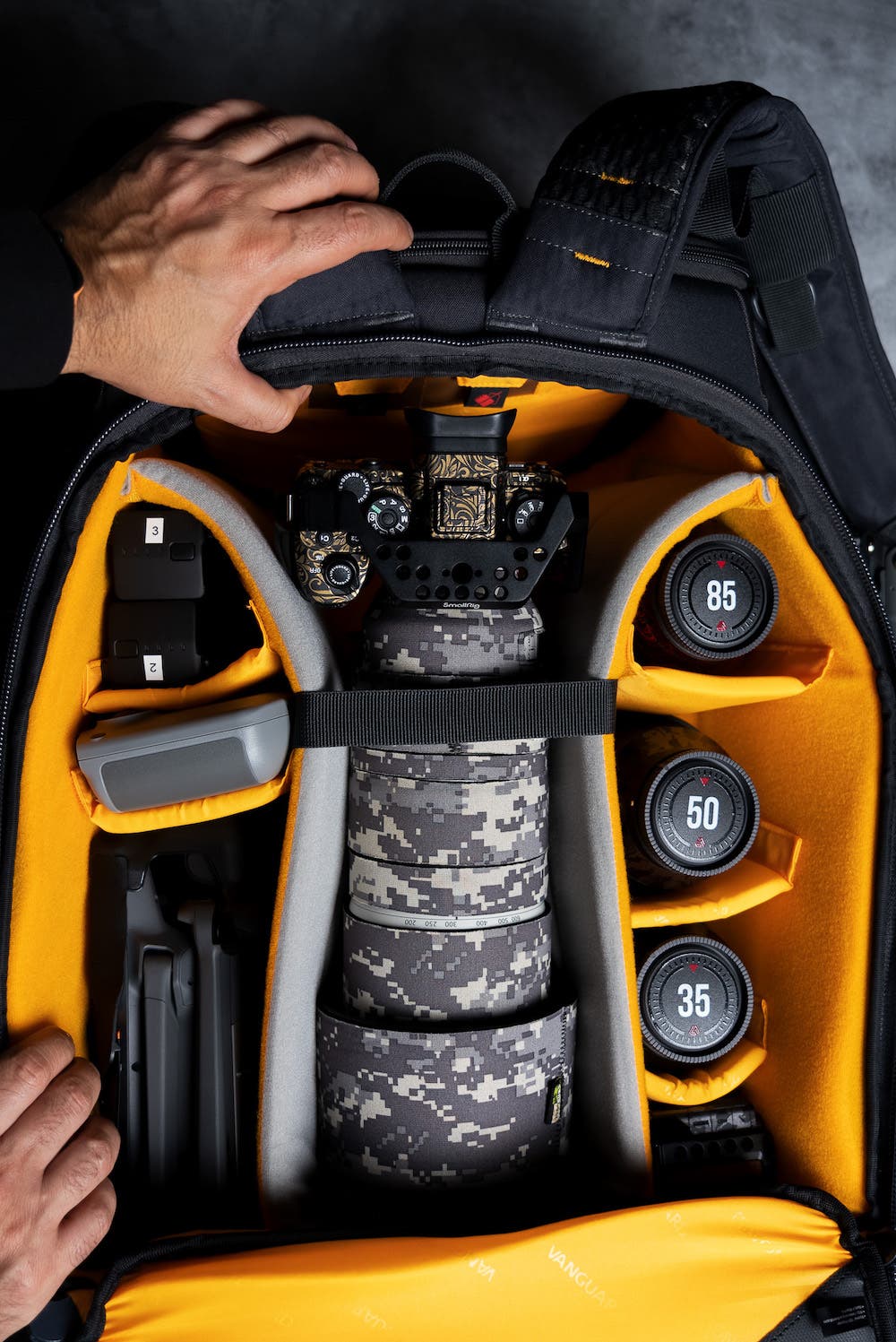 Vanguard Alta Sky 53 camera backpack