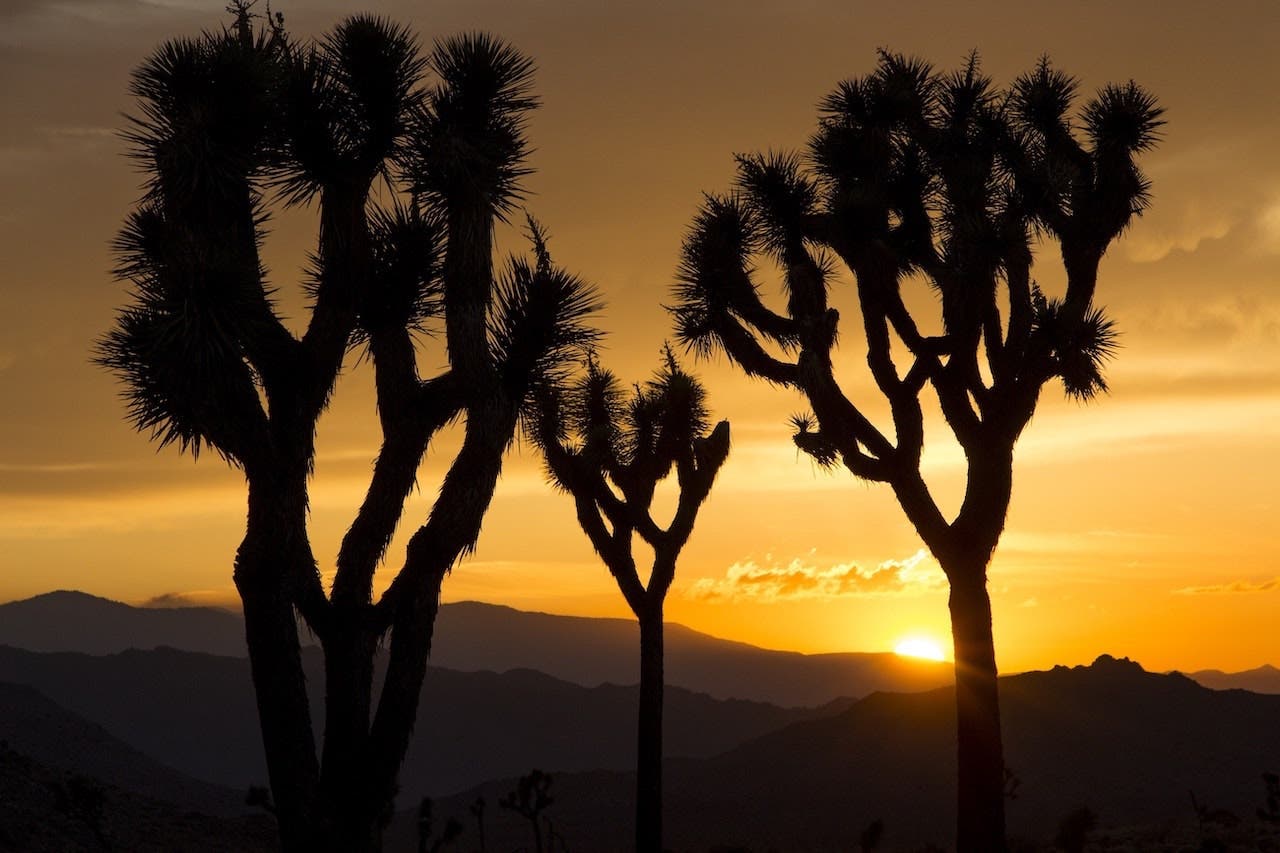desert photography tips for silhouette