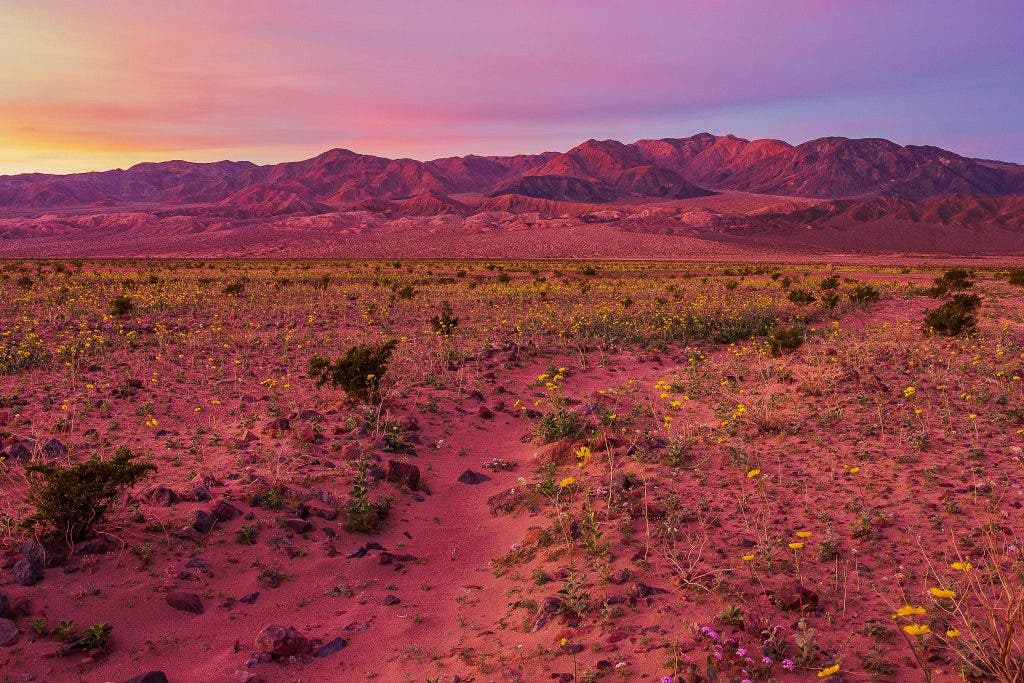 Colorful use of white balance photography tips in the desert