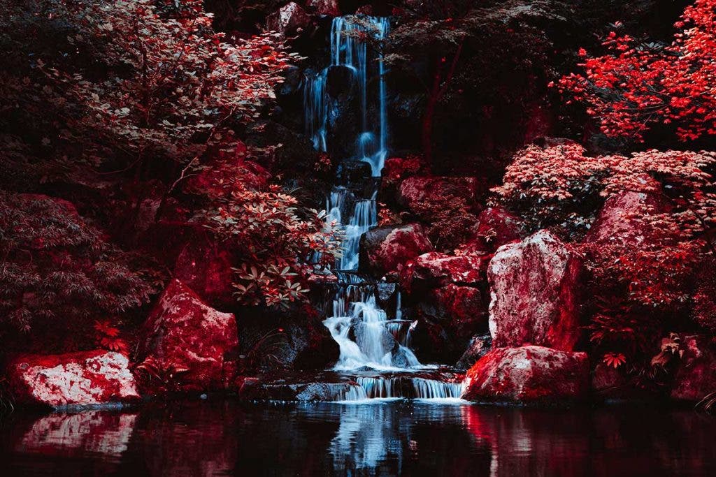 infrared photography waterfall with trees