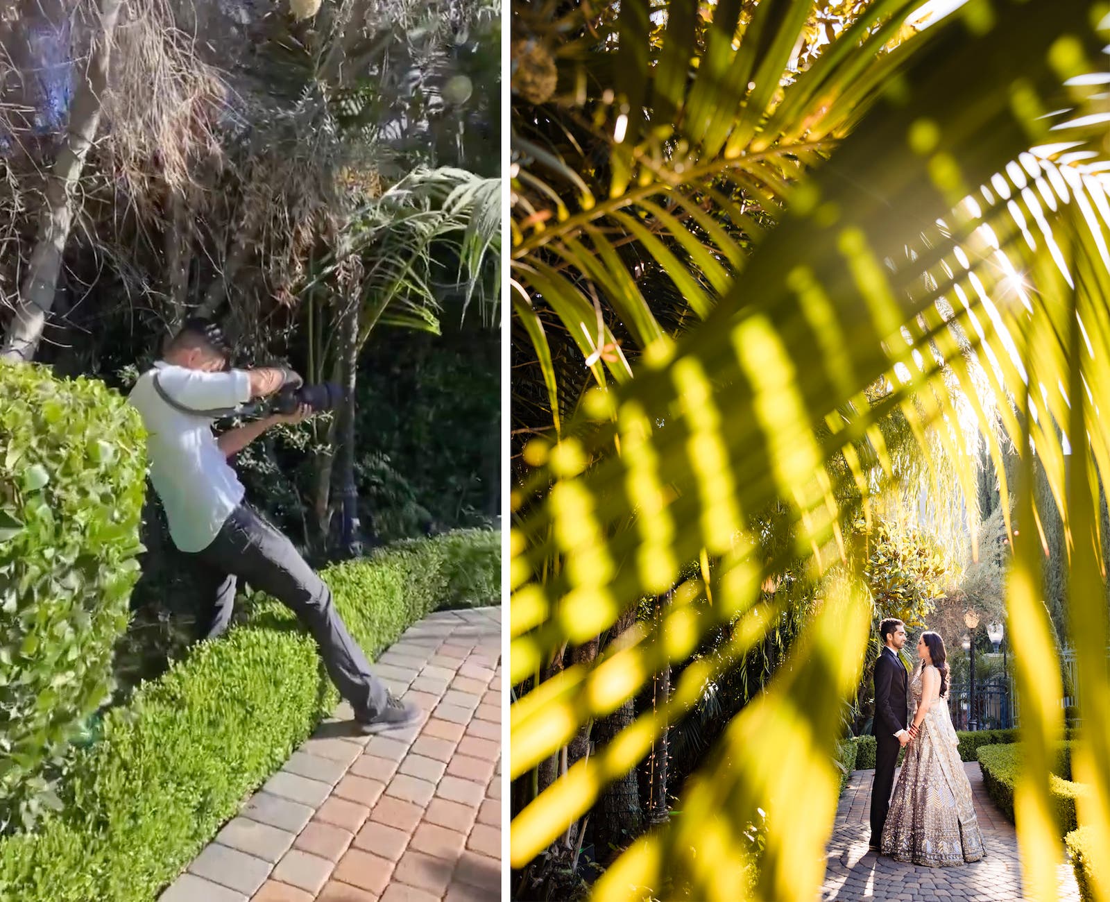 photoshoot ideas at home with shoot-through using palm fronds