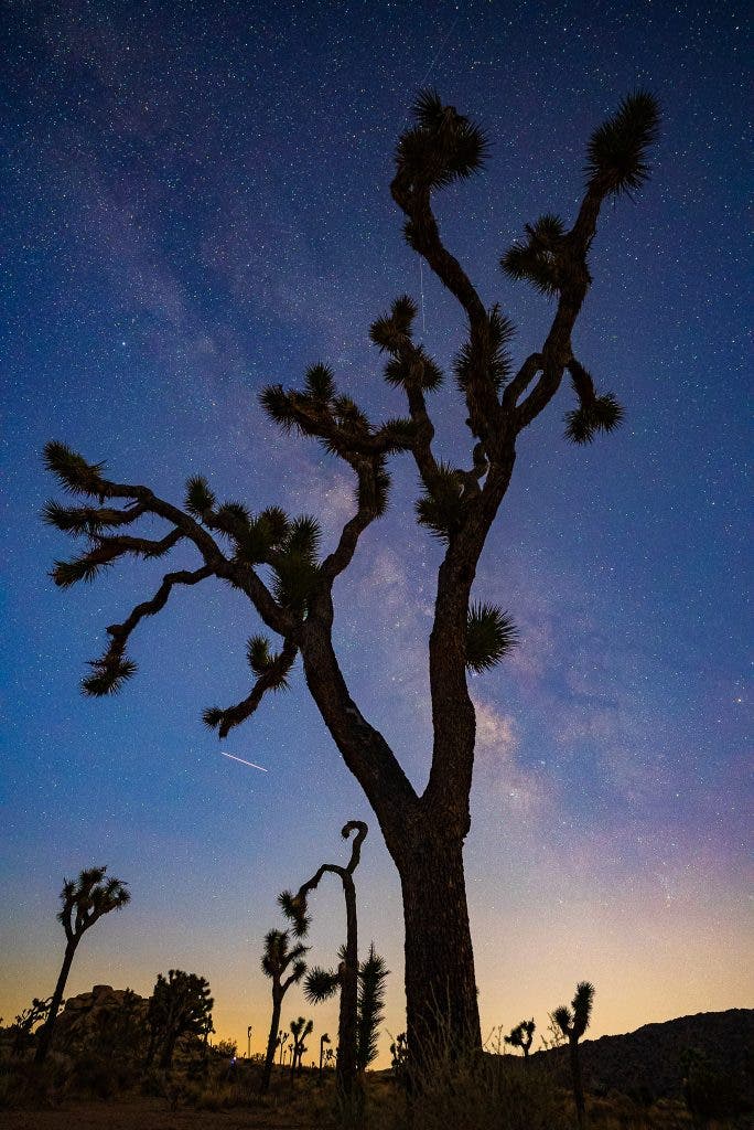 milky way photography portrait at night