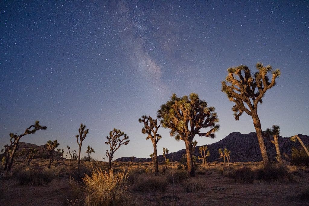 milky way photography in joshua tree