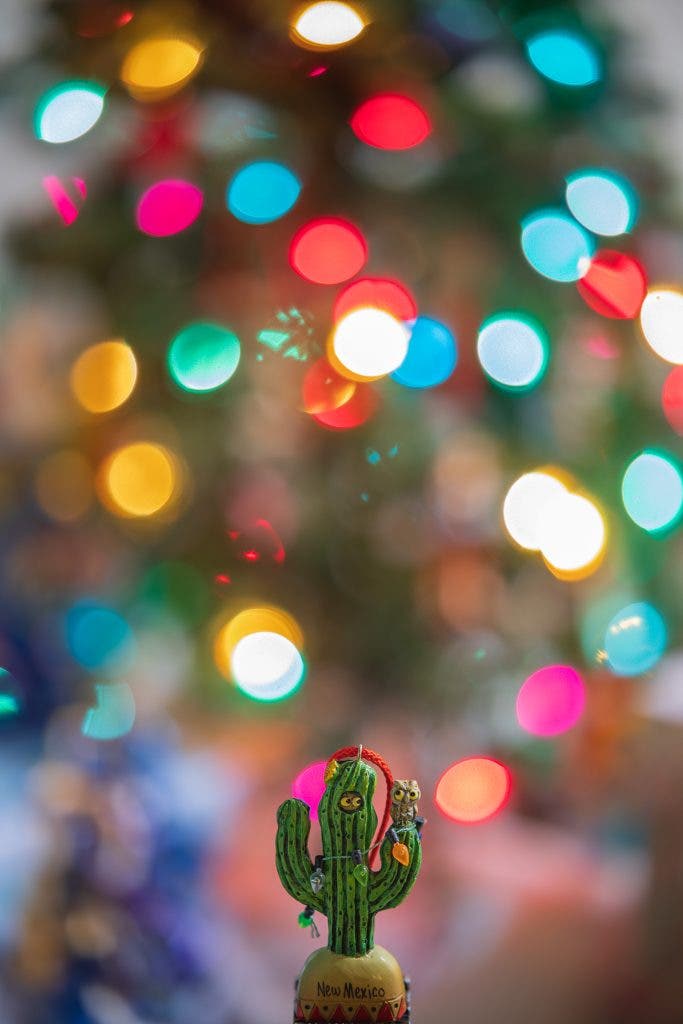 colorful vibrant photography